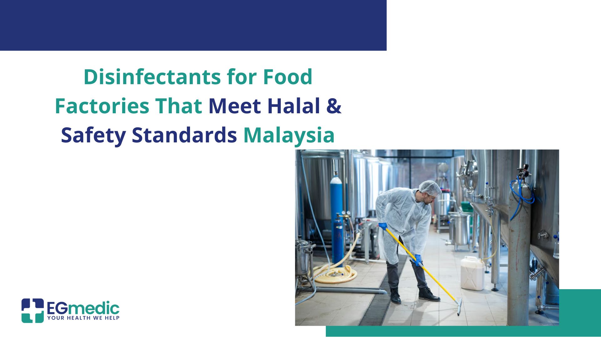 Disinfectants for Food Factories That Meet Halal & Safety Standards Malaysia